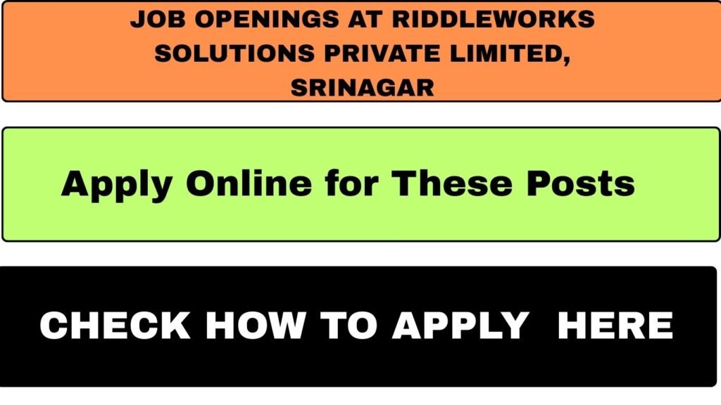 Job Openings at Riddleworks Solutions Private Limited, Srinagar